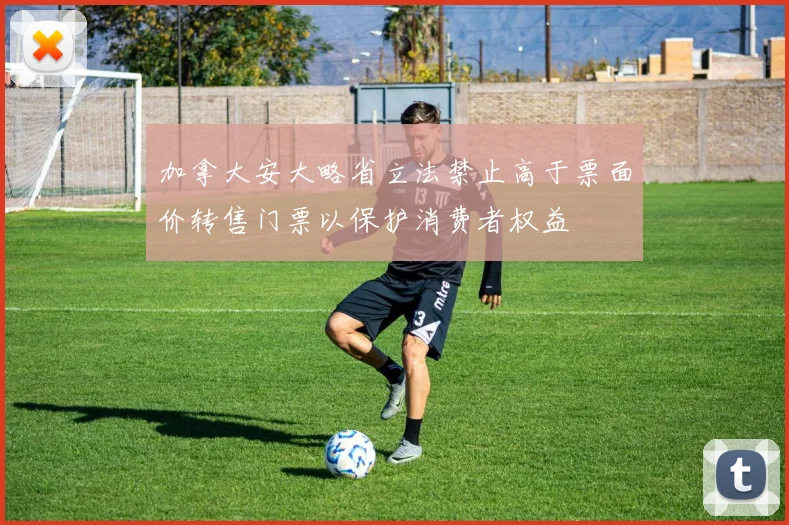加拿大安大略省立法禁止高于票面价转售门票以保护消费者权益